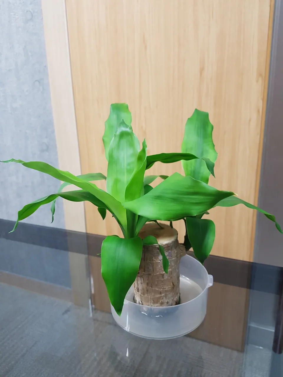 20171123_103953.jpg
