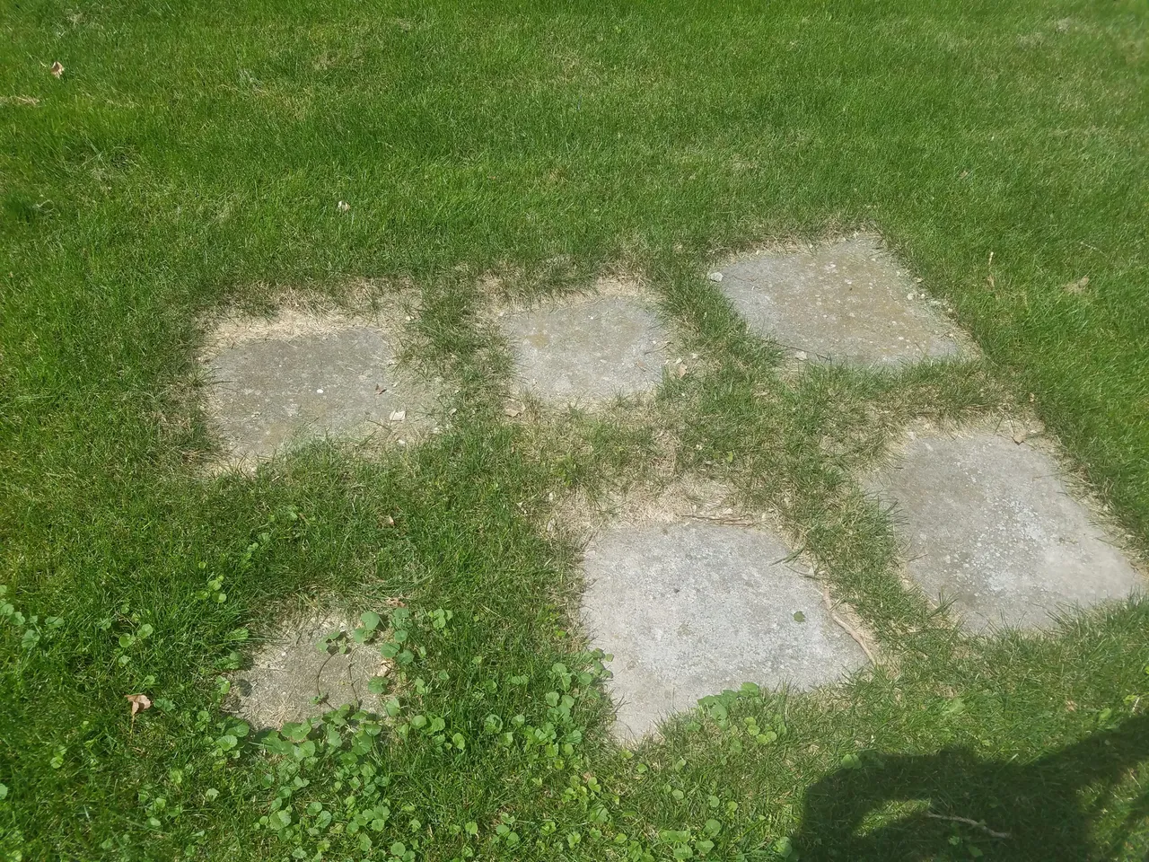 20170810_122529.jpg