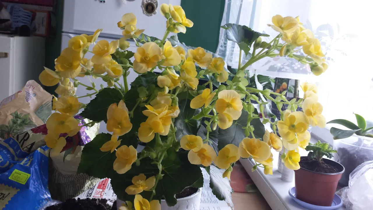 20150829_121139.jpg