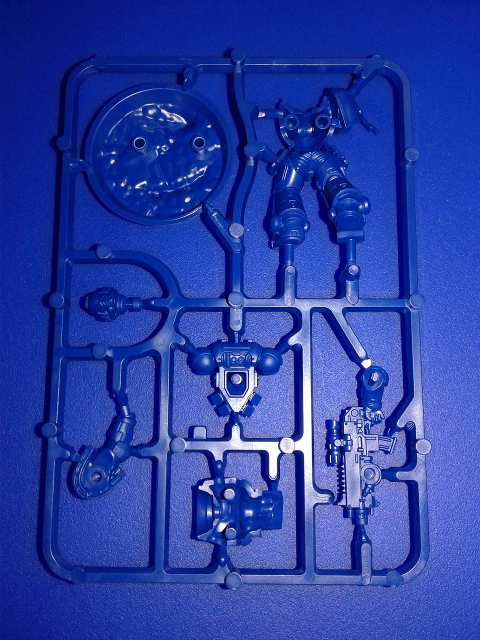primaris rear.jpg