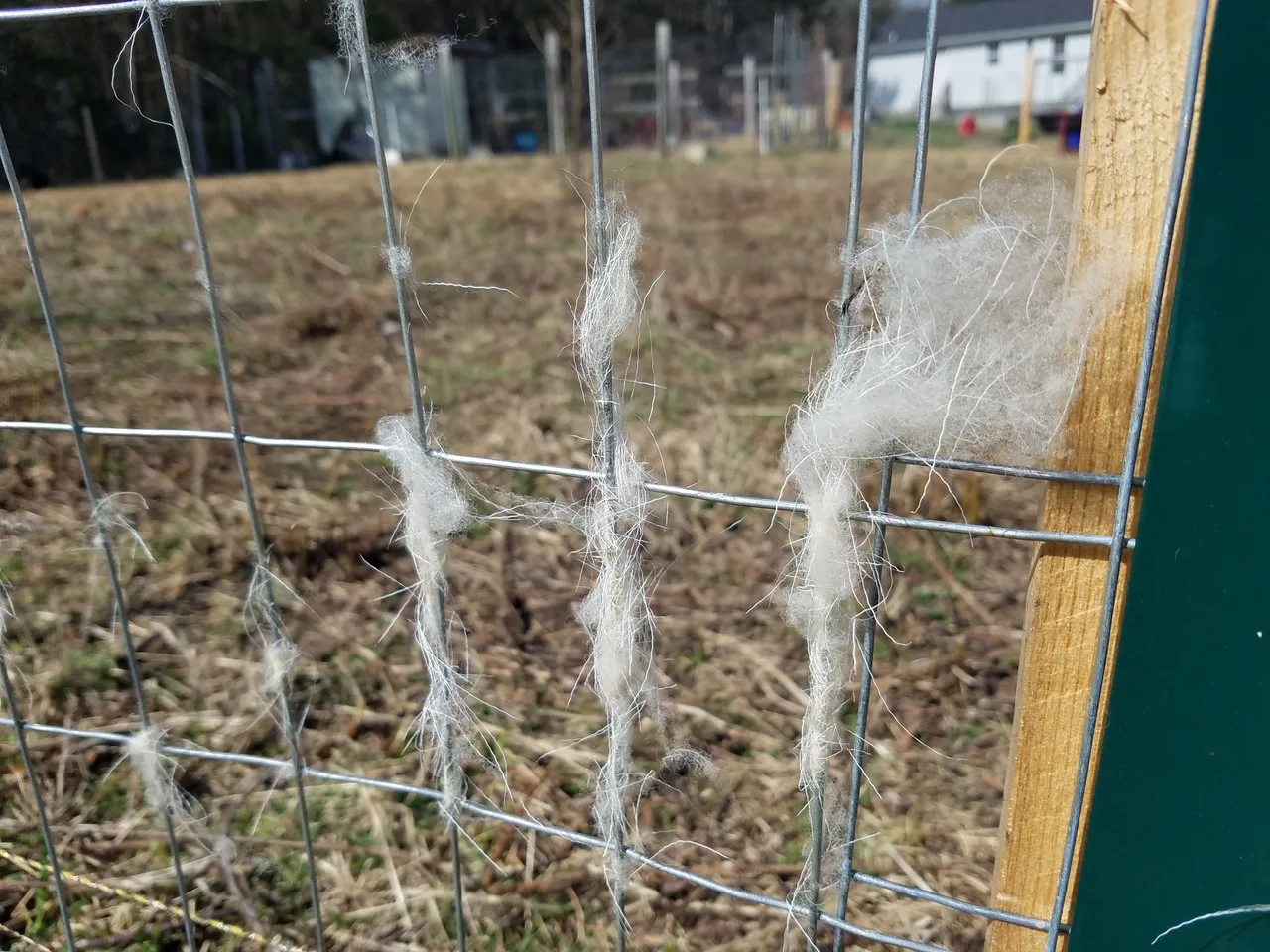 20180406_104349.jpg