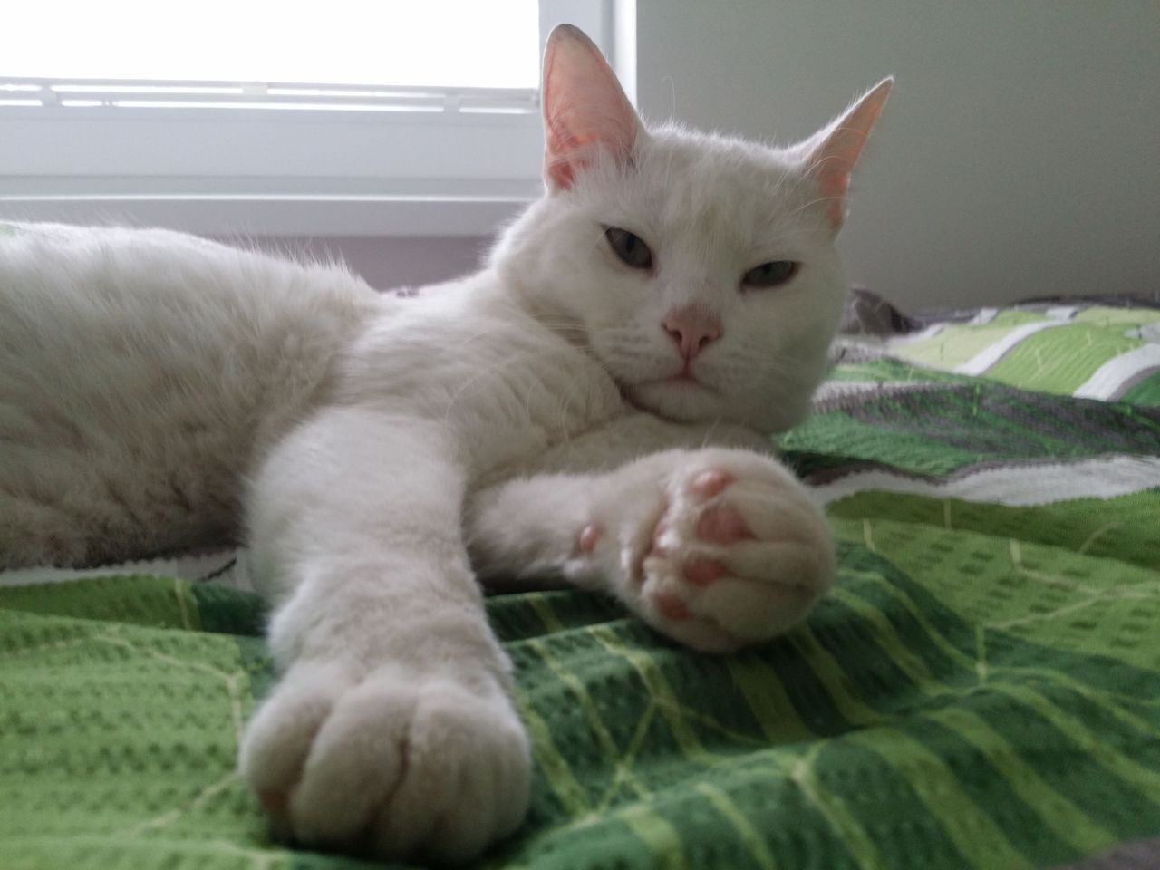 20180510_122123.jpg
