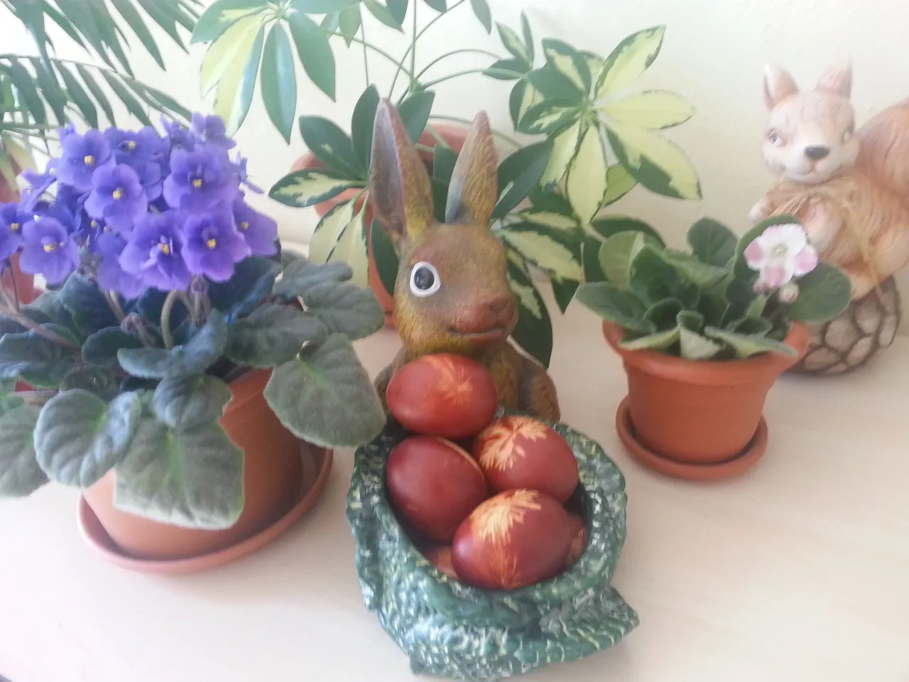 20170414_103922.jpg