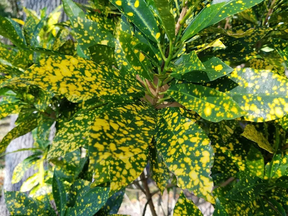 20180403_180239.jpg