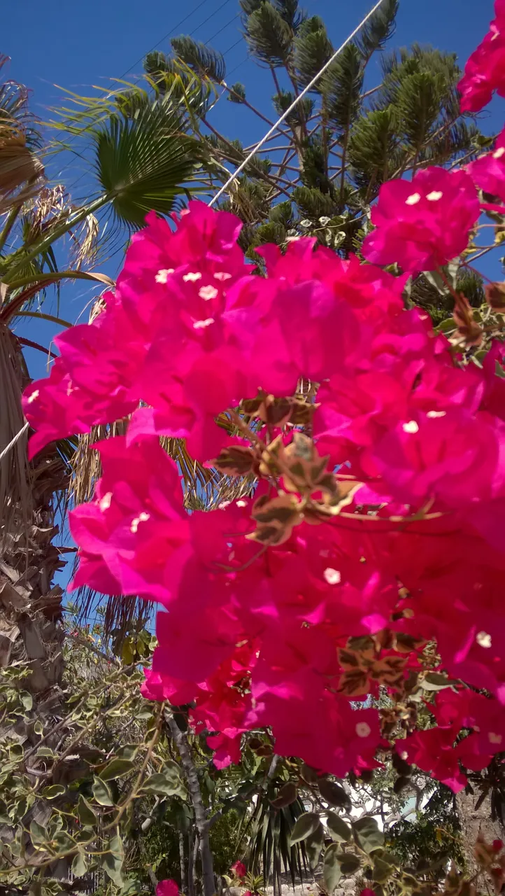 WP_20160623_005.jpg