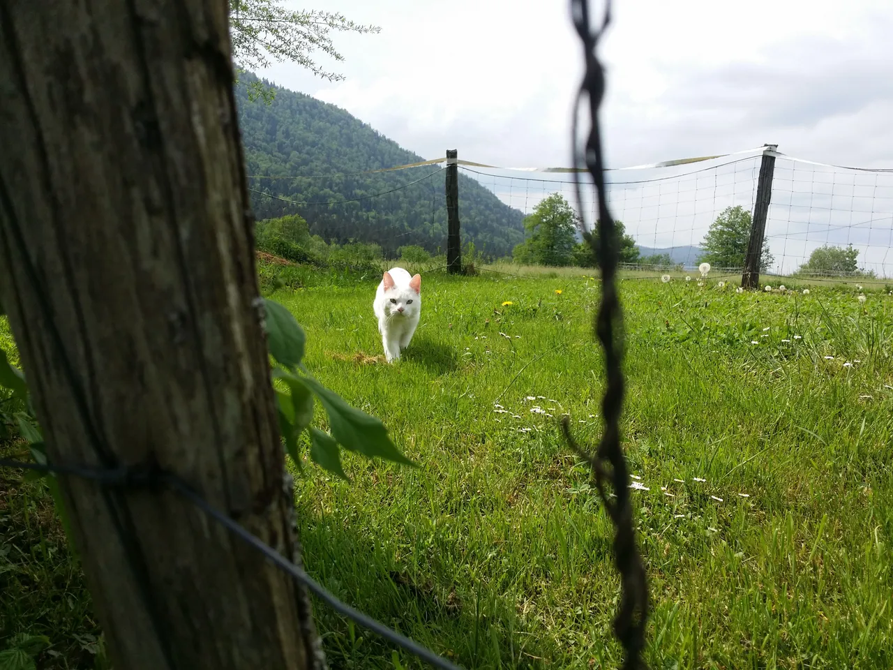 20180502_144102.jpg