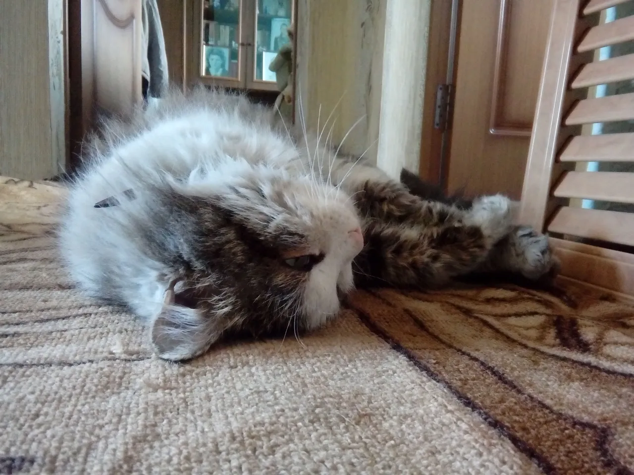 20180331_174702.jpg