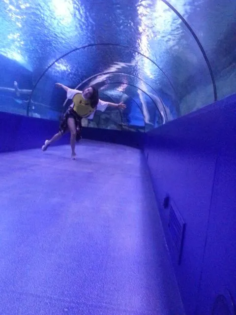 20160421_120319.jpg