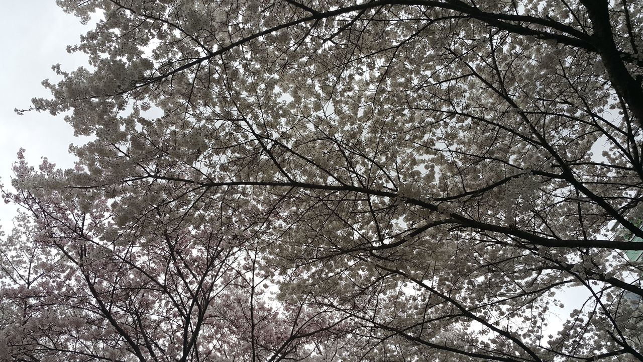 20180403_152846.jpg
