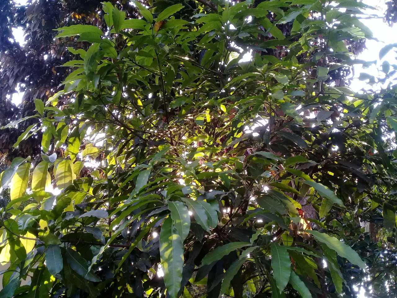 20180319_163313.jpg