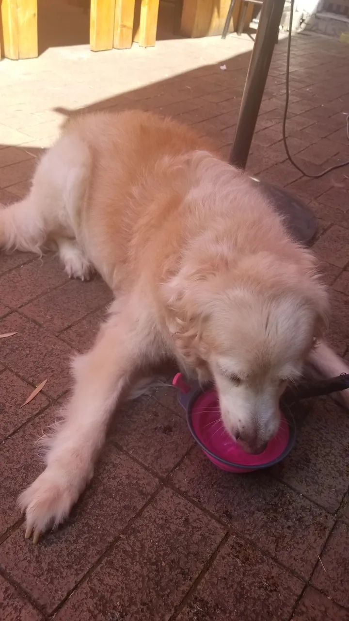 20180520_145631.jpg