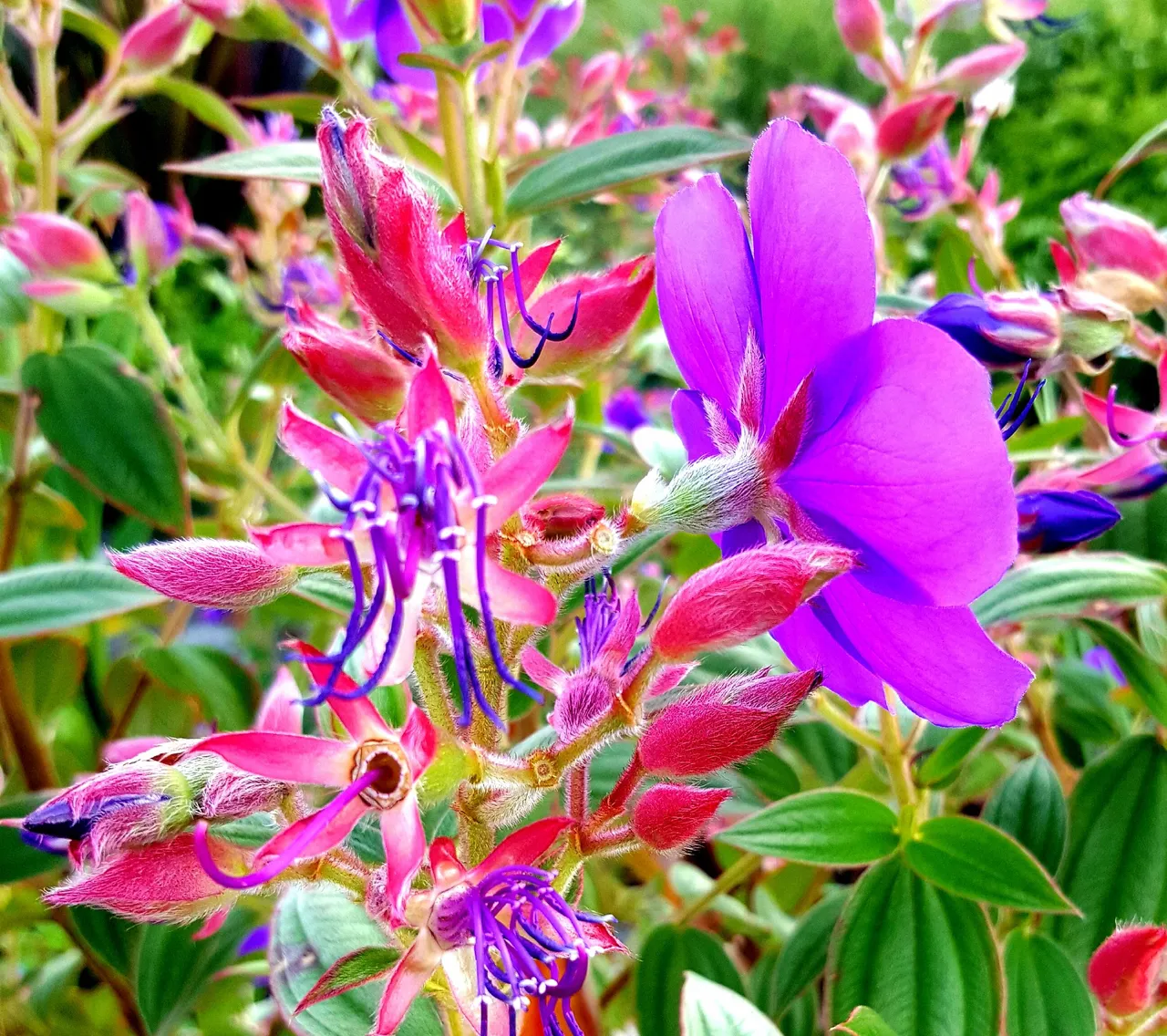 20171008_090759.jpg