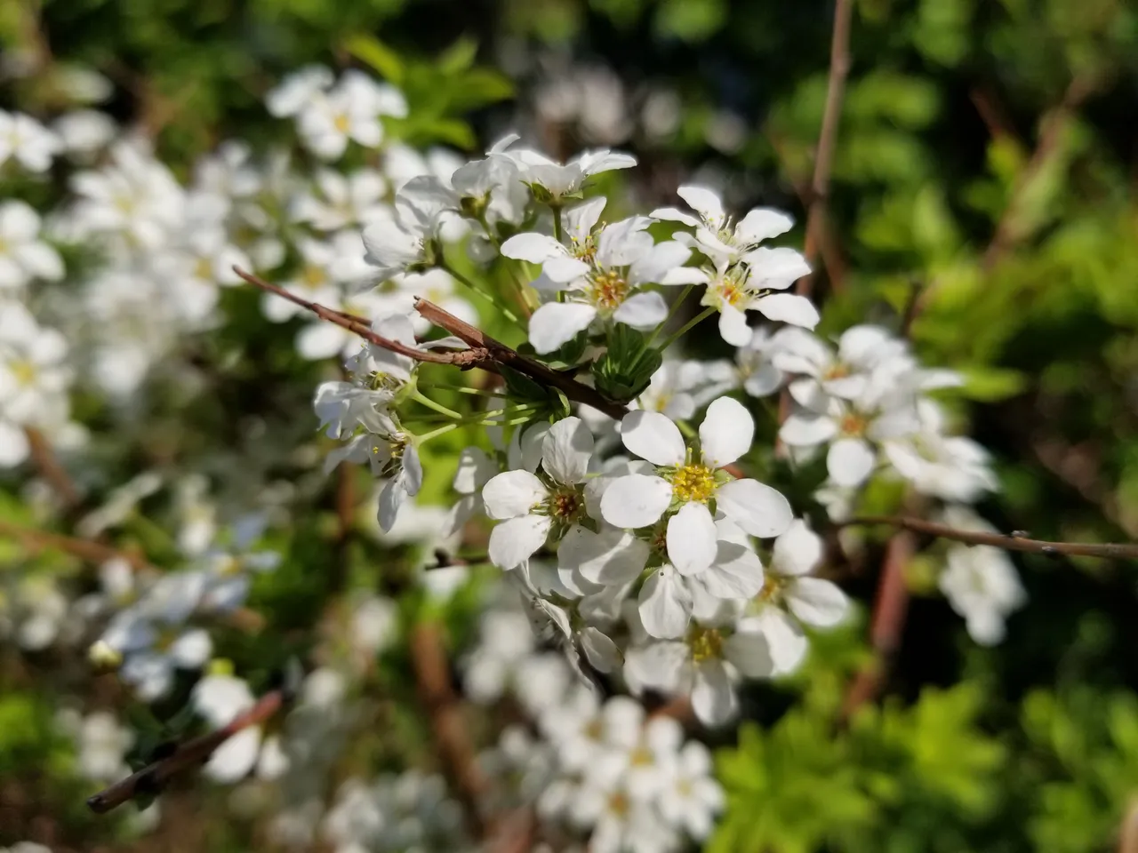 20180428_075139.jpg