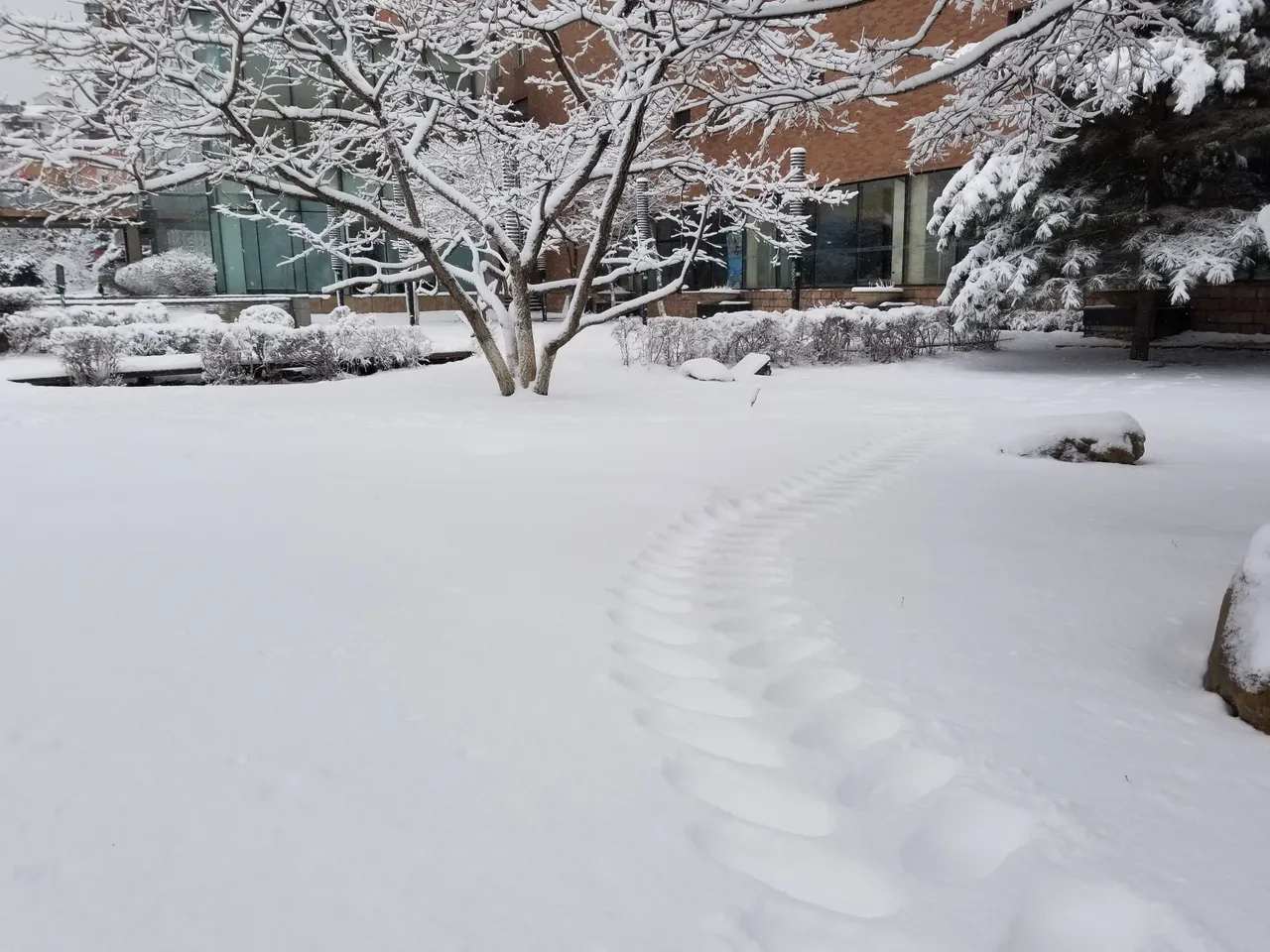 20180315_081644.jpg