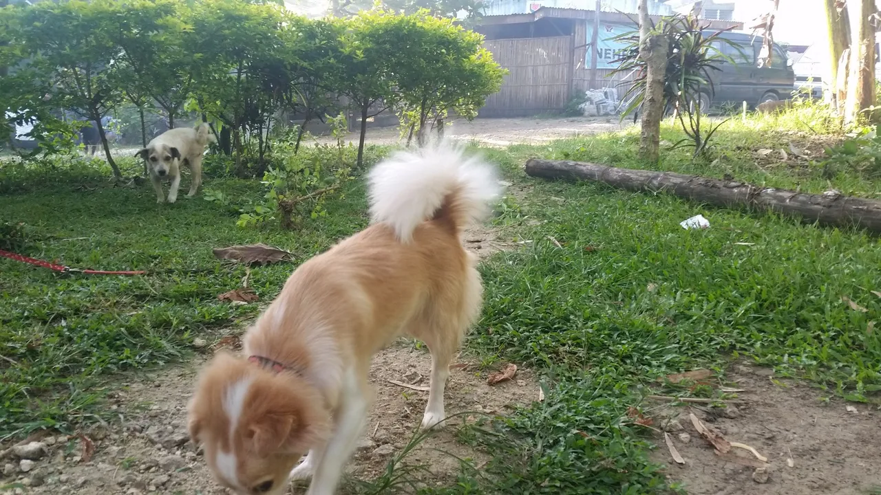 20170409_073902.jpg