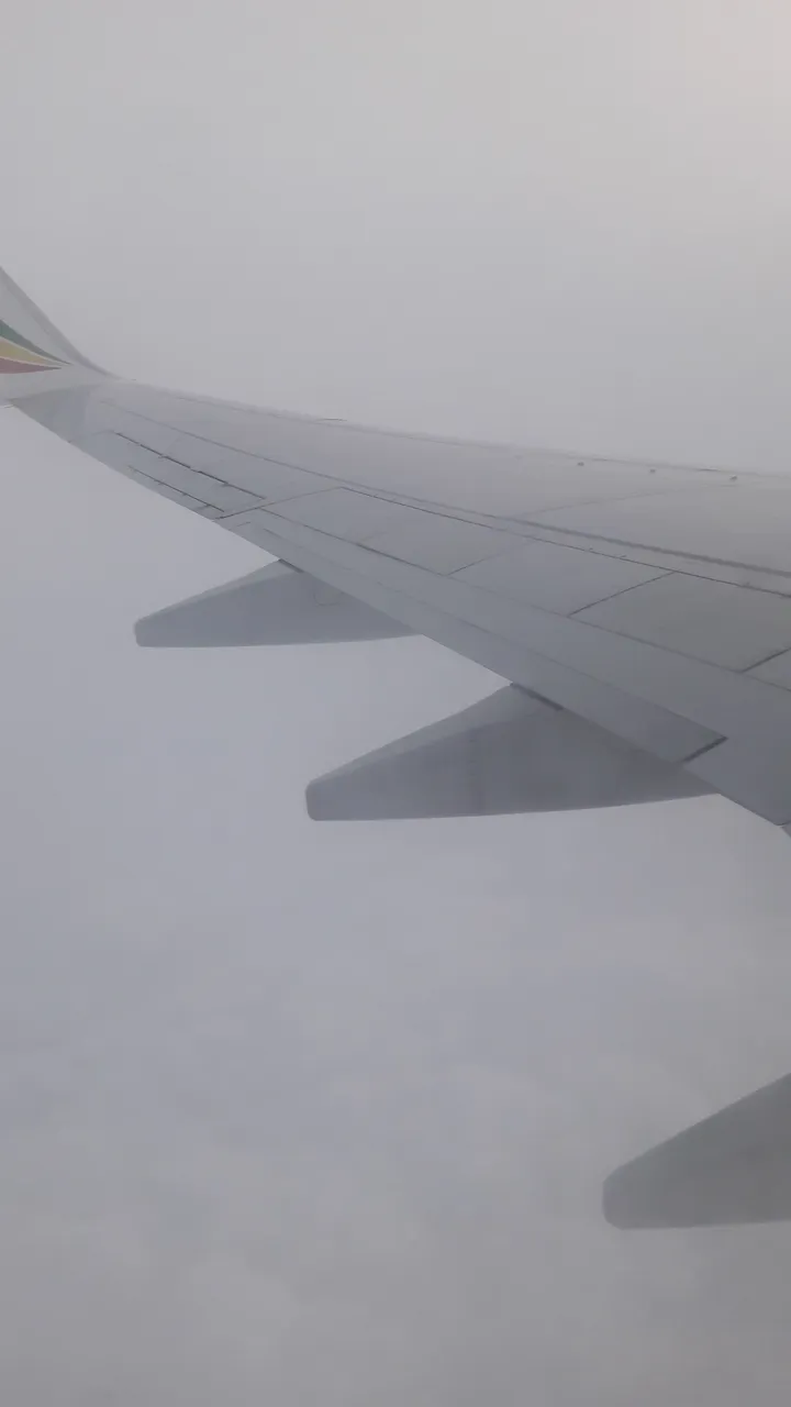 20180220_182917.jpg
