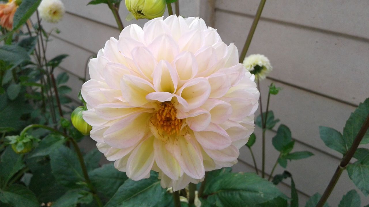 20161212_102609.jpg