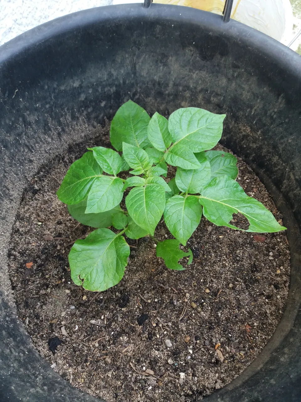 20180420_183138.jpg