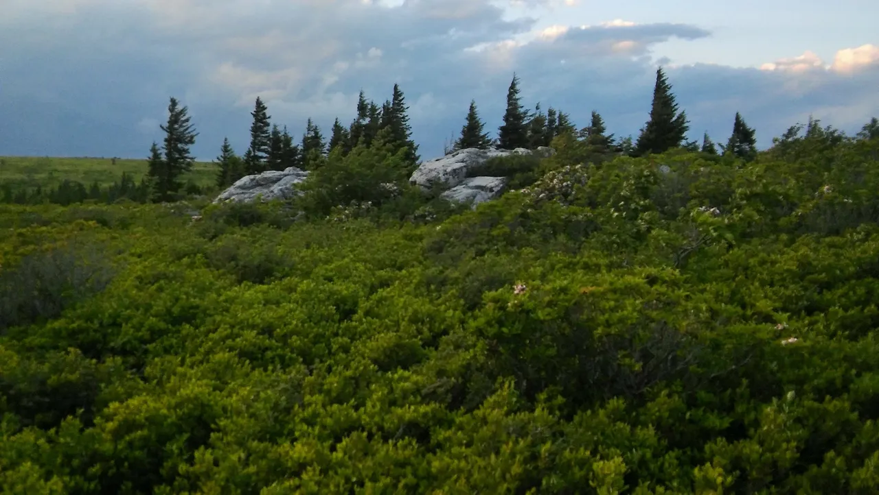 20170624_200328.jpg