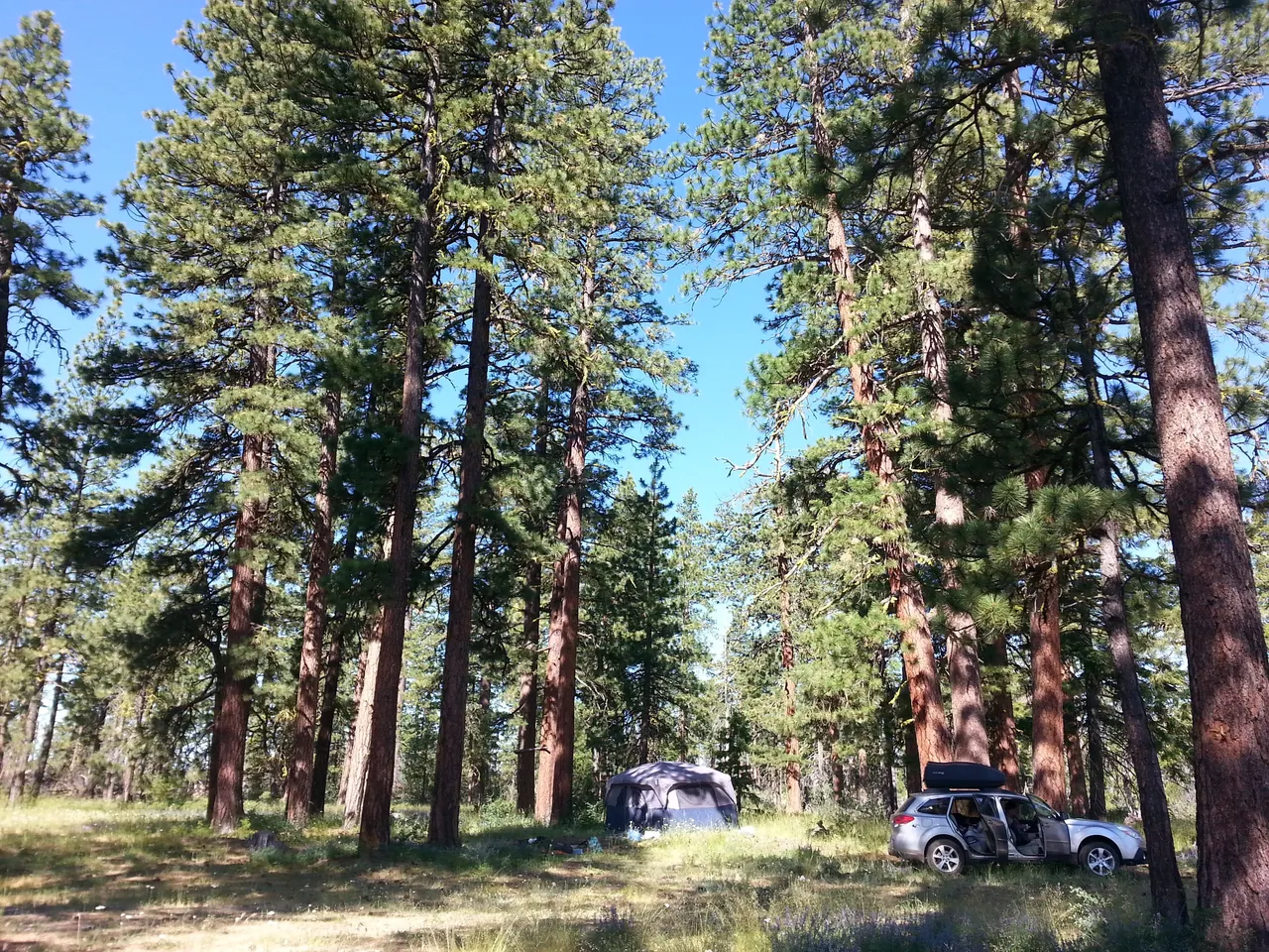 20170702_092805.jpg