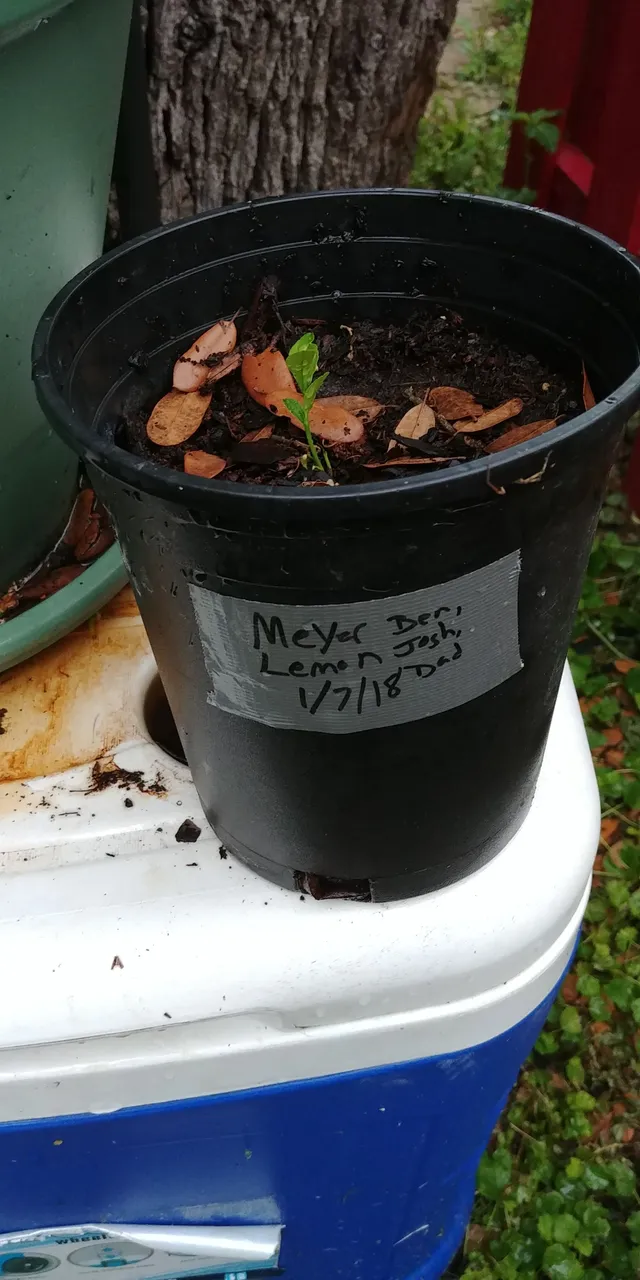 20180510_072857.jpg