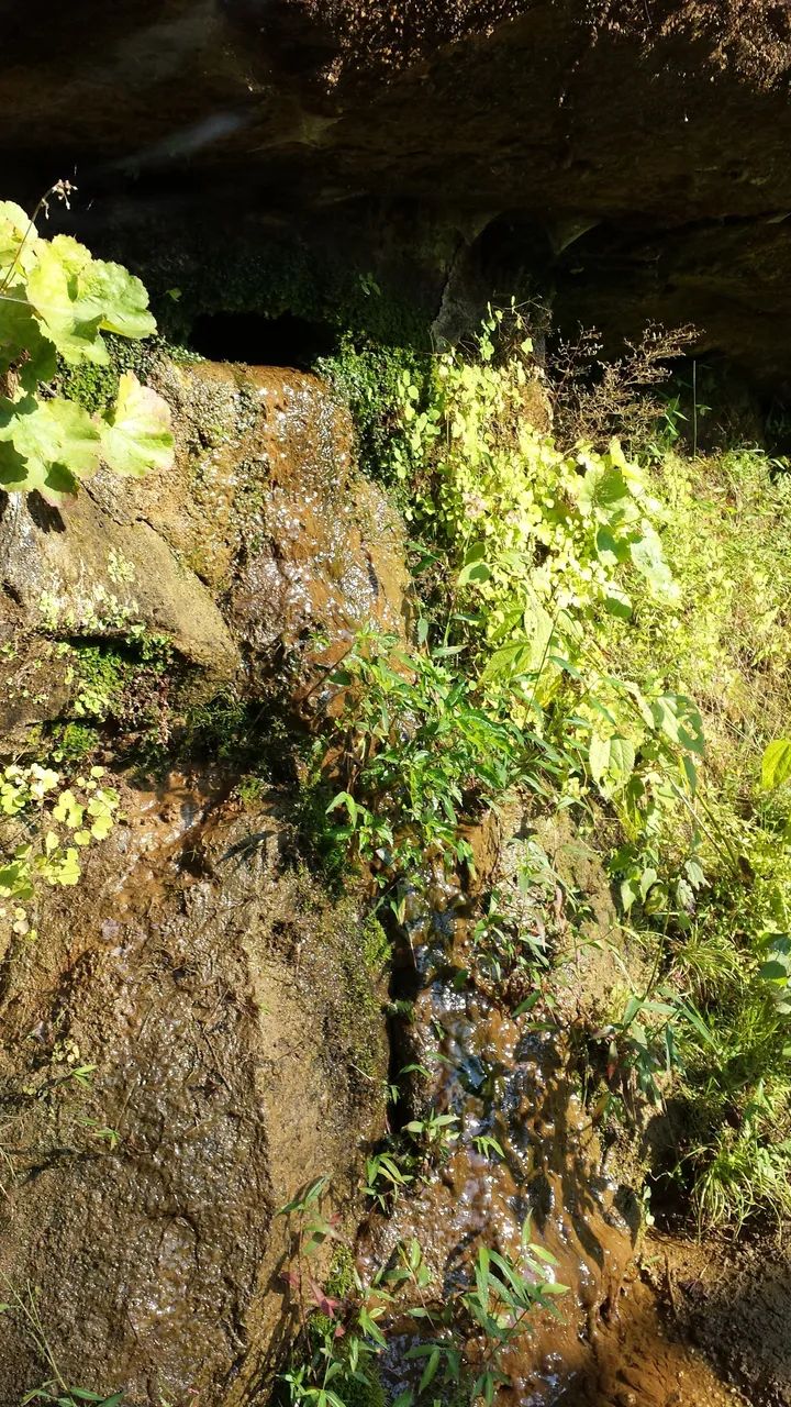 20140830_093855.jpg