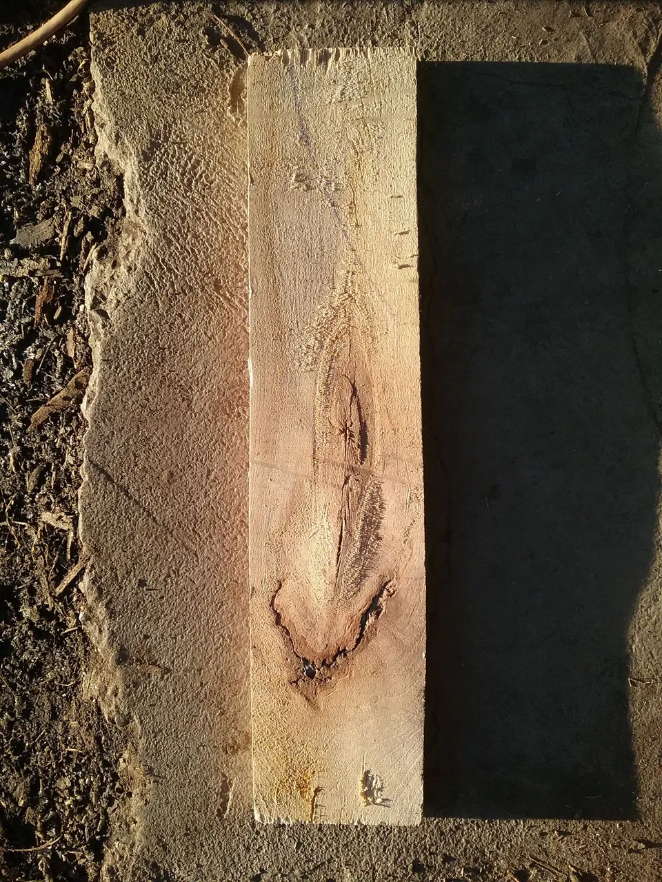 20180331_073837.jpg