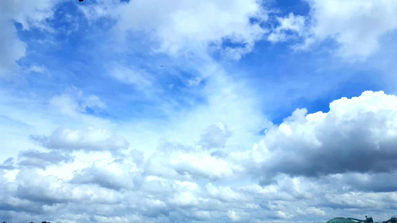 20170629_075756.jpg