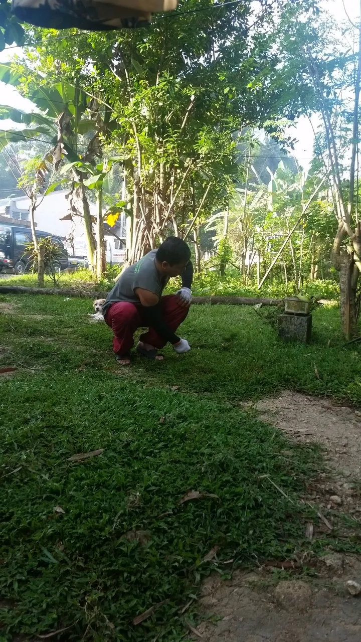 20170409_074226.jpg