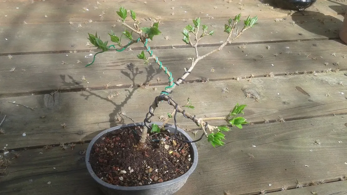 20180328_121205.jpg