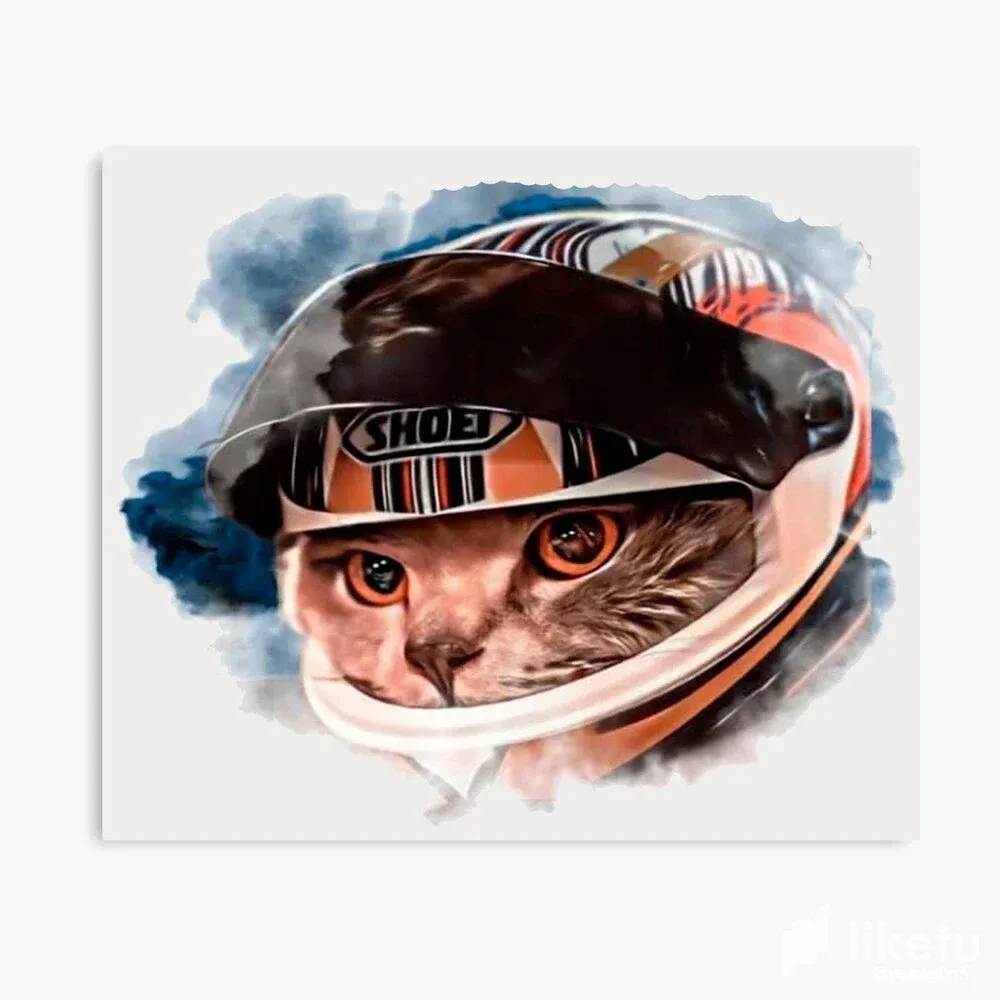 cll6qg3zj00hc7msz267tcwlf_mp840x830mattef8f8f8t-pad1000x1000f8f8f8.webp