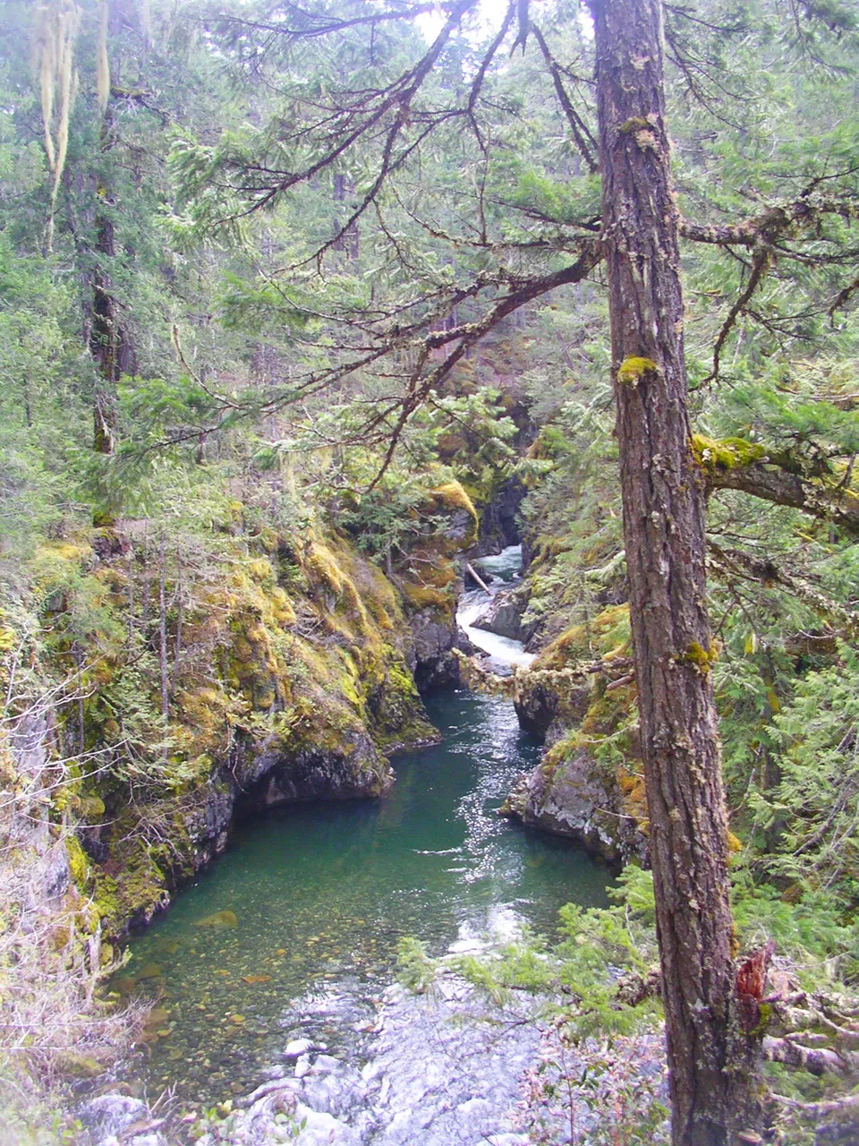 Little Qualicum Falls