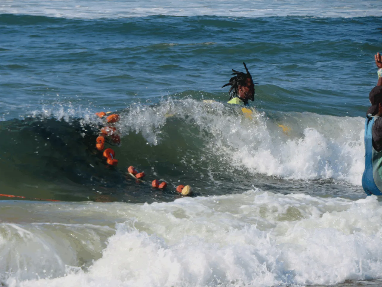 Guiding Sardine Net