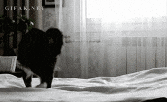 Vote Early Ballot Box GIF by INTO ACTION