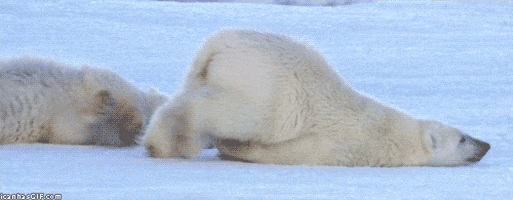 Happy Good Morning GIF