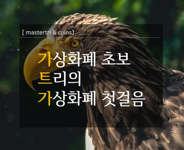 코인입문