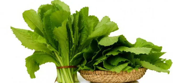 WHAT IS ARUGULA