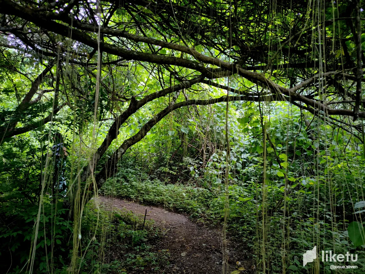 clfrkq0e601944csz0t3q612r_IMG20230319155220_1.webp