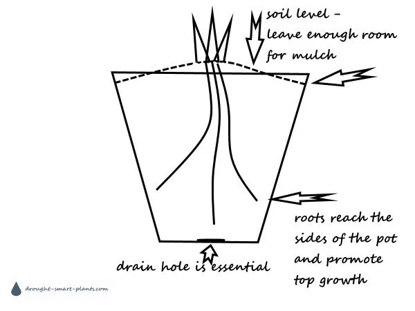 xdiagram-planting-succulents600x450.jpg.pagespeed.ic.haKqWoOEAr.jpg