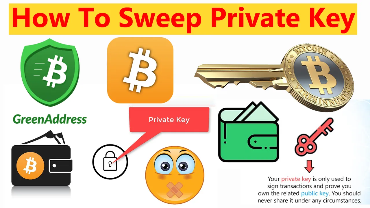 Bitcoin Private Key Import by crypto wallets info.jpg