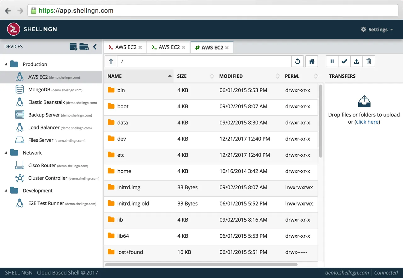 5a3ba06fe59b0a0001ab5e4d_shellngn browser - sftp.png