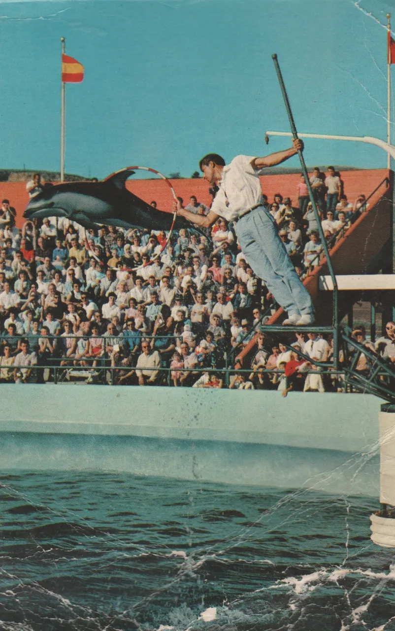 1960's maybe of like sea world or something postcard.jpg