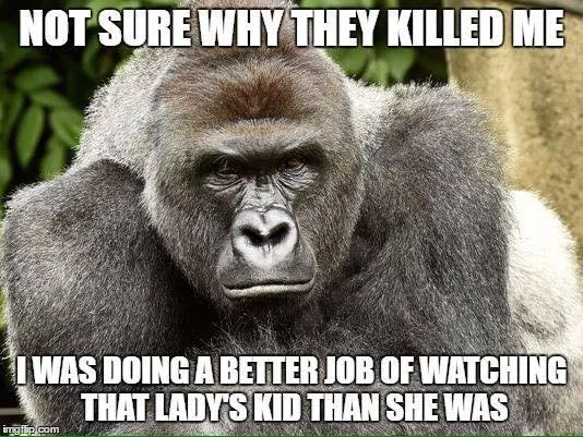 funny