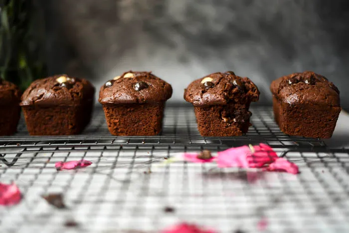 Dark Chocolate Covered Espresso Bean Mini Loaves (12).jpg