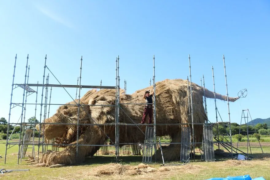 The Lion begins to take shape photo-Wara Art Masuri.jpg