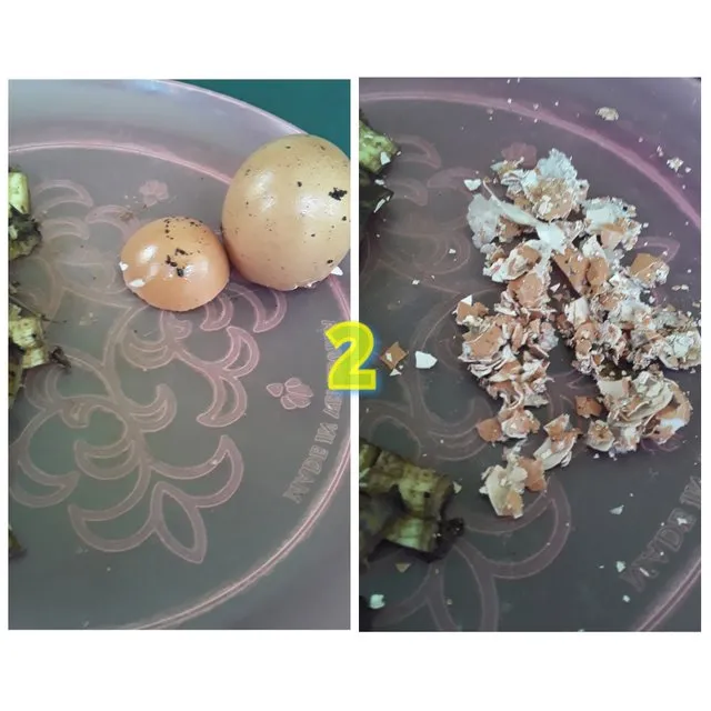 k75bsZMwYNtze9xHvT6xWCdz7q3QGD35ZKdaPpVrFksWkC3iFZ4e85bPj9mxmgupaxM2FsWMjVGvVTWXhEVNu856MhM6qF9JvQN96PcCWmCH8C6soHH2ciDF6FAKFcwdS15tCn8QbGvjkxeQLk2j9Lf1j4NyEptFg.jpg
