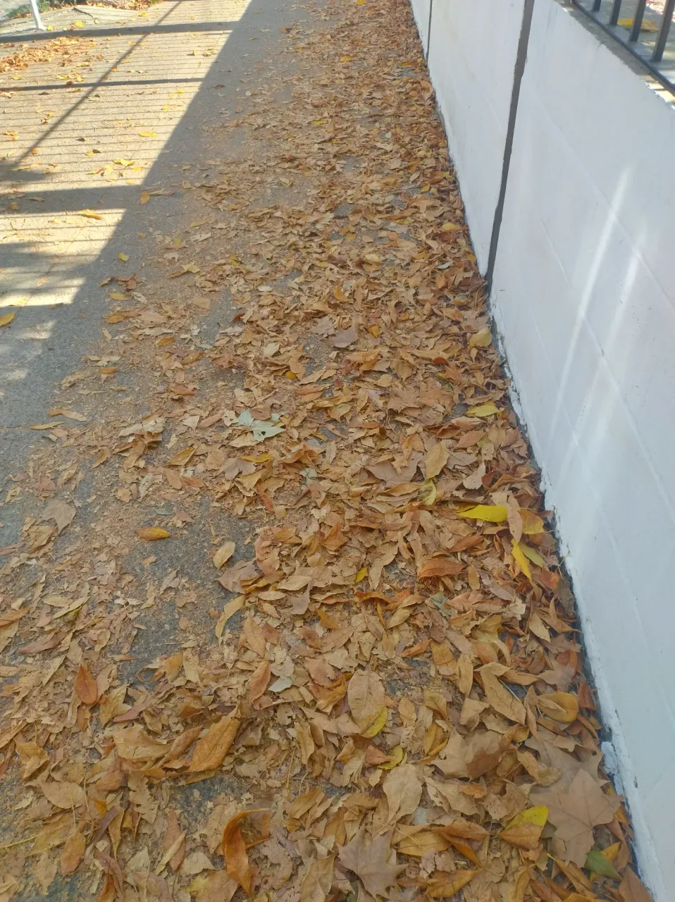 8rpIy9BvhTbOh4gJ_1000200277.webp