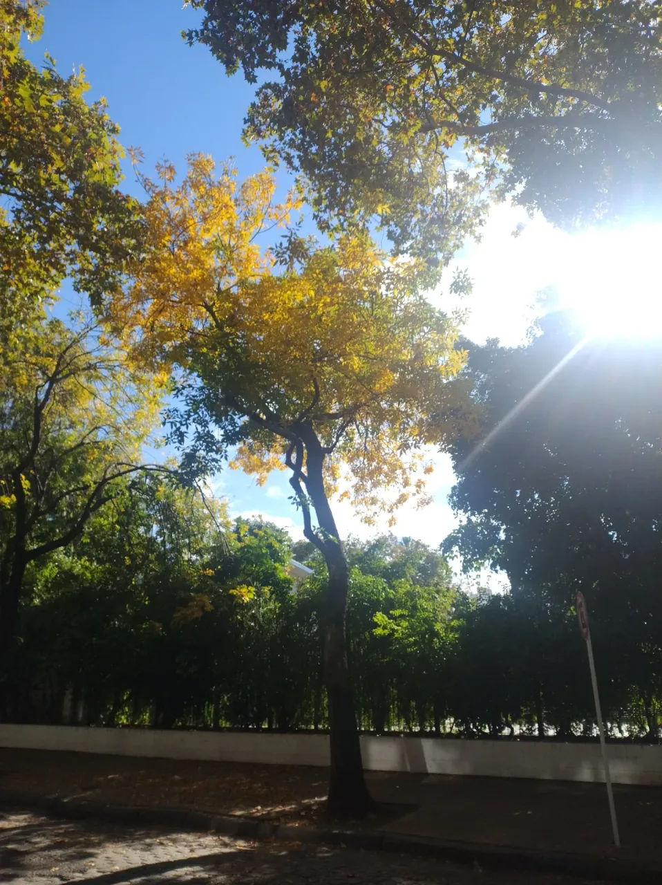 vFdigM77yeQ8gPWq_1000200257.webp