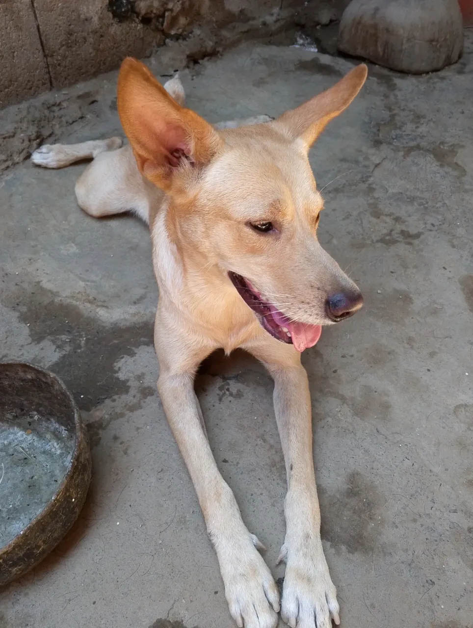 jbrjyjRFx58XZnIw_1000494424.webp