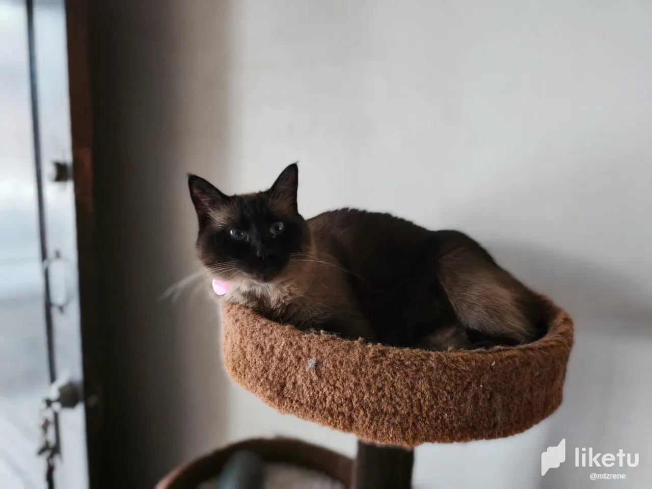 VkTRyh3lLNfGBGgz_1000062346.webp